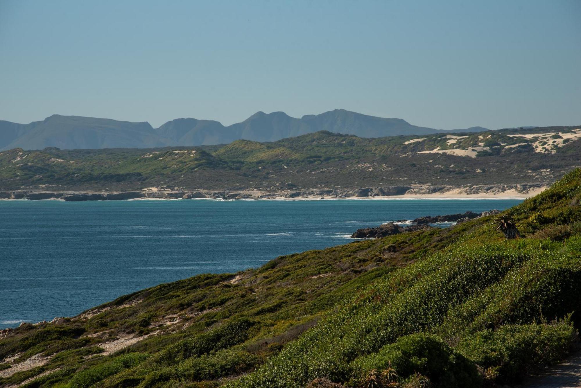 Whalesong Lodge Gansbaai Exteriér fotografie
