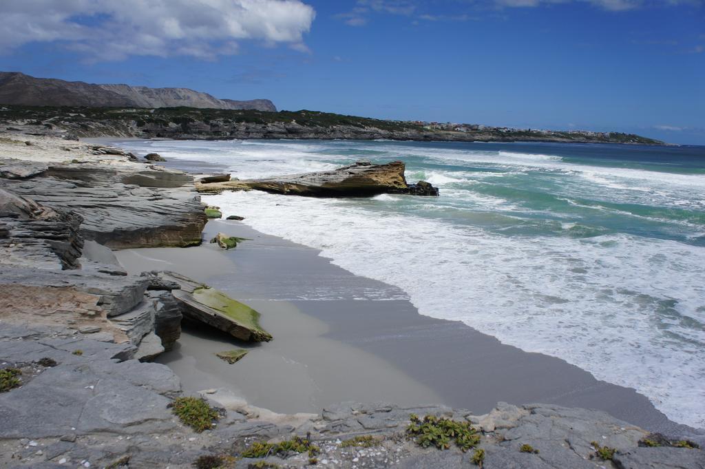 Whalesong Lodge Gansbaai Exteriér fotografie