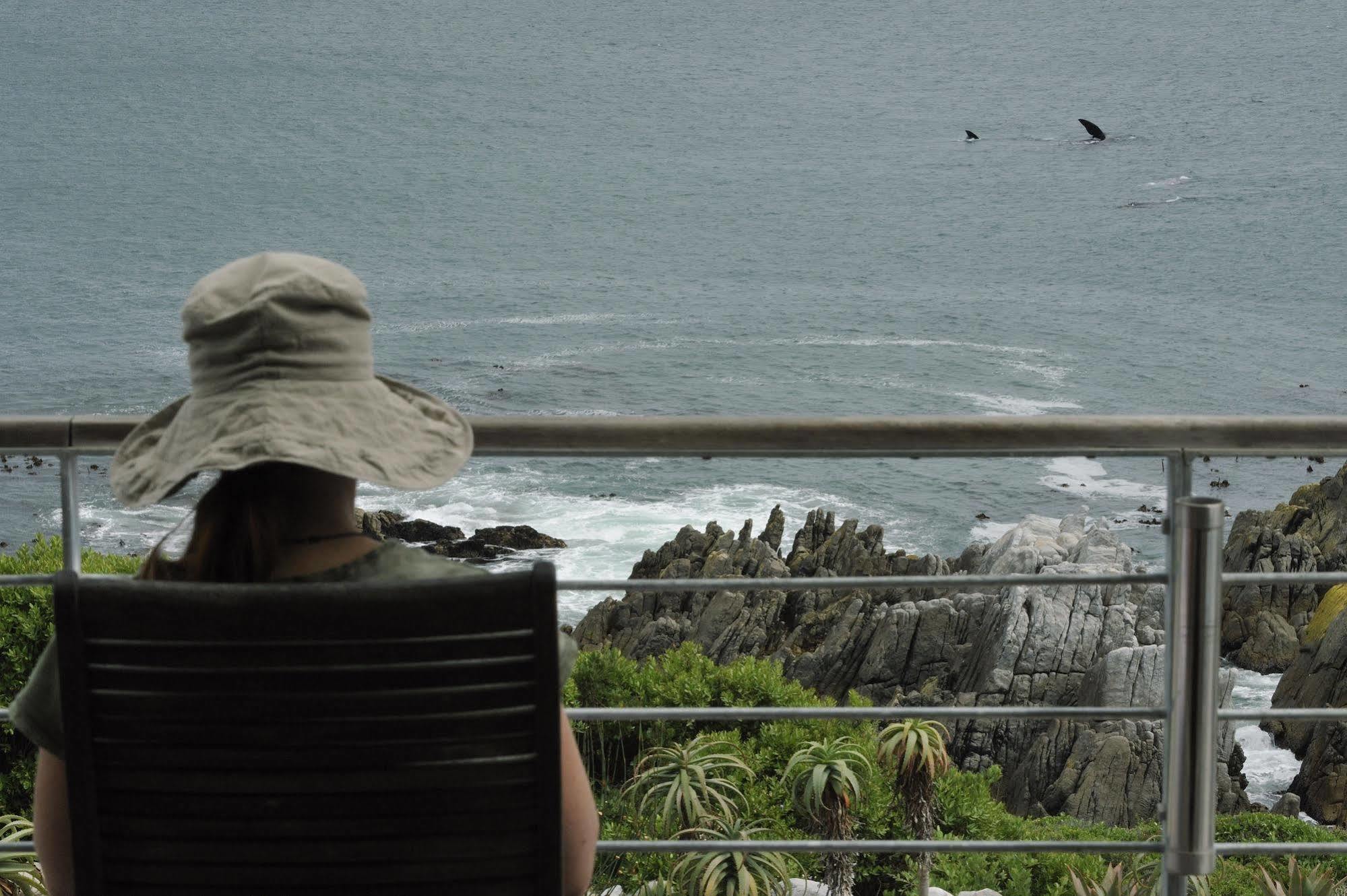 Whalesong Lodge Gansbaai Exteriér fotografie